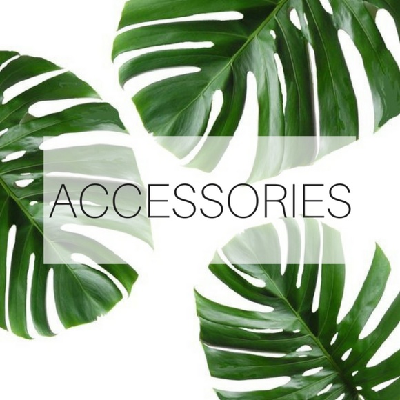 ACCESSORIES - Picture 1 of 1